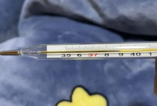 哪里可以找到关于云计算在篮球发展中的应用案例_1